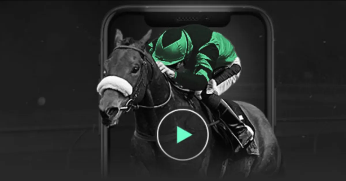 太阳报,弗爵力挺滕,哈赫,半岛,BanDao,半岛体育官网,半岛官网,半岛体育下载