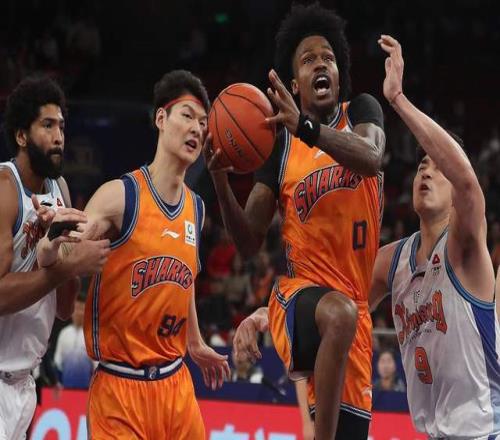 亚冬会首金,今日揭晓,枚金牌角逐,半岛,BanDao,半岛体育官网,半岛官网,半岛体育下载