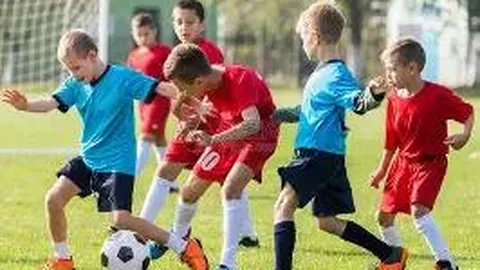 南非橄榄球世界杯夺冠，12月15日升格为全国法定假日——环球时报报道